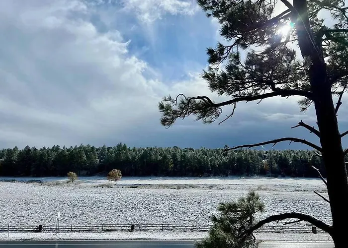 Scenic At Meadow View * Show Low